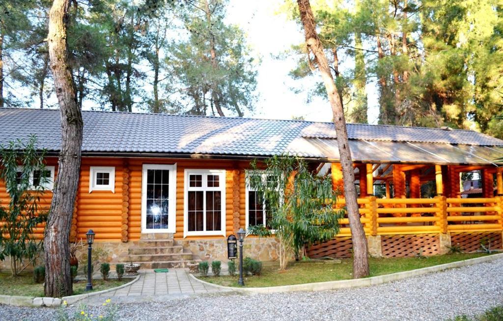Гостевой Дом Сосновый Бор Pizunda Exterior photo