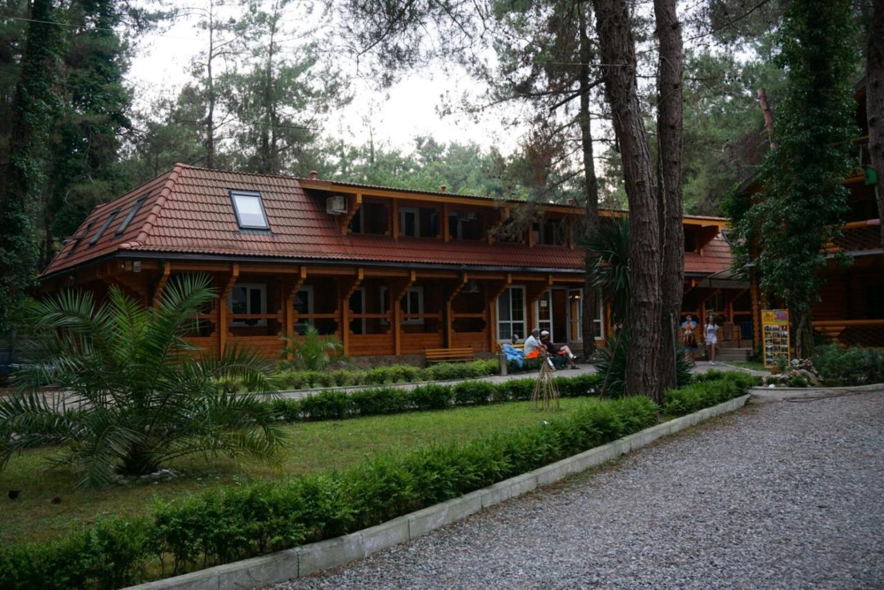 Гостевой Дом Сосновый Бор Pizunda Exterior photo