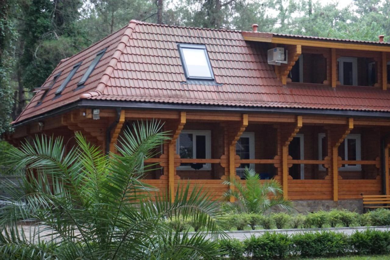 Гостевой Дом Сосновый Бор Pizunda Exterior photo