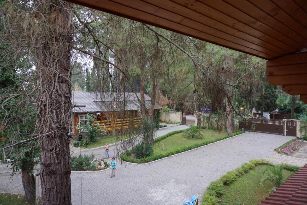 Гостевой Дом Сосновый Бор Pizunda Exterior photo