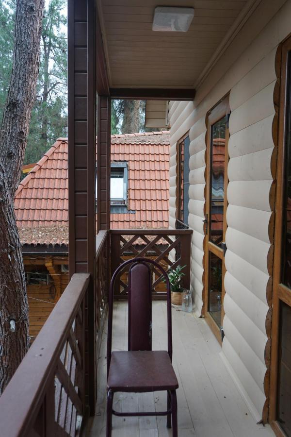 Гостевой Дом Сосновый Бор Pizunda Exterior photo